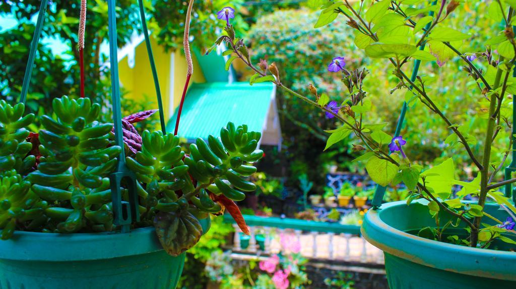 Hotel Crystal Mounts Nuwara Eliya Esterno foto