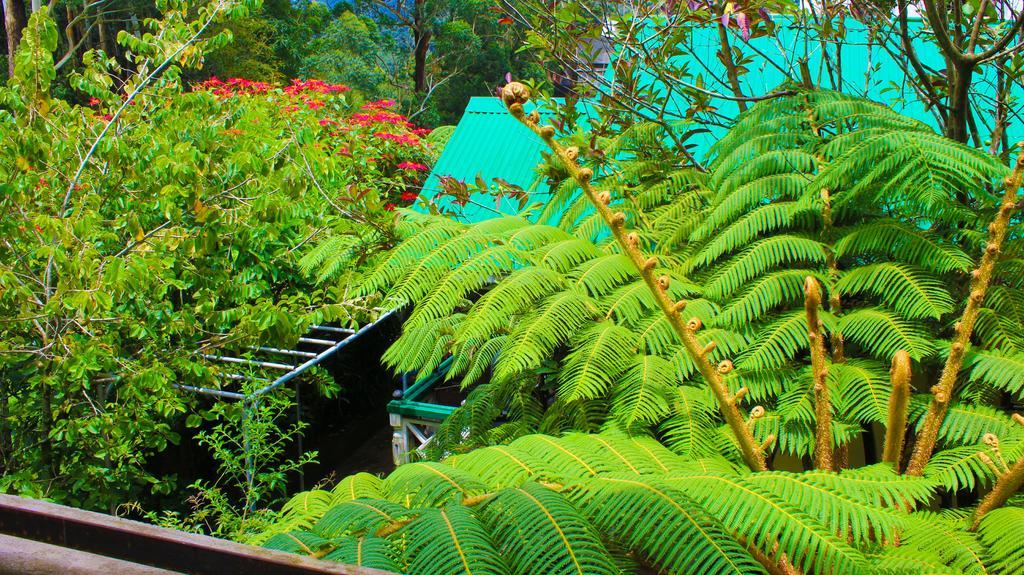 Hotel Crystal Mounts Nuwara Eliya Esterno foto